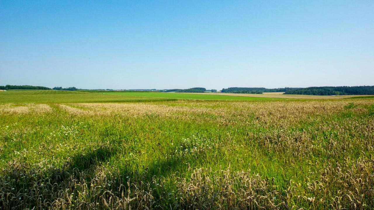 Apartmán Sepps In Billingsdorf Exteriér fotografie